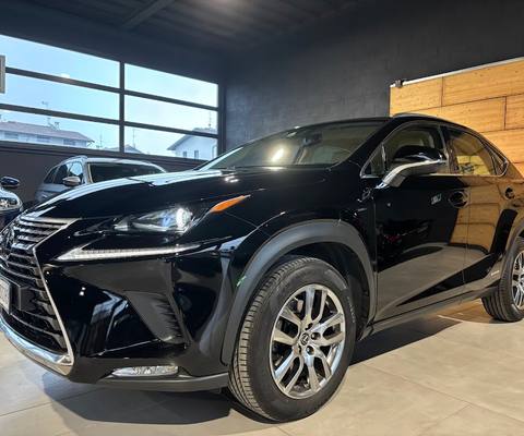 Lexus NX I 2018